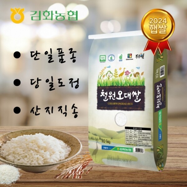 2024년산 햅쌀 철원오대쌀10kg[당일도정,당일발송] 김화농협